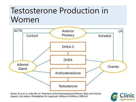 How to Treat Low Testosterone in Women: Options, Benefits, and Risks