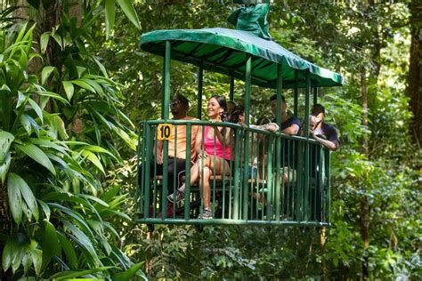 St. Lucia Aerial Tram Tour at Rainforest Adventures - TourMega