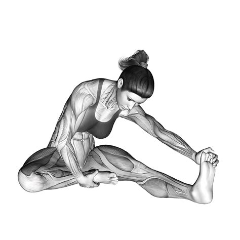 Seated Hamstring Stretch: Benefits, Muscles Targeted, and More - Inspire US