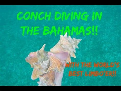 Conch Diving in the Bahamas! (With the World's Best Limbo'er) - YouTube