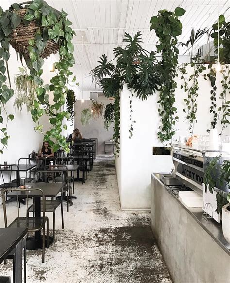 café plants #houseplants | Cafe interior design, Cafe plants, Cafe interior
