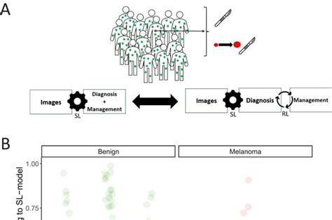 Skin cancer diagnosis: Exploring reinforcement learning for improved performance of AI