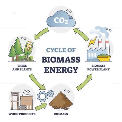 Cycle of biomass energy as direct combustion in power plant outline ...