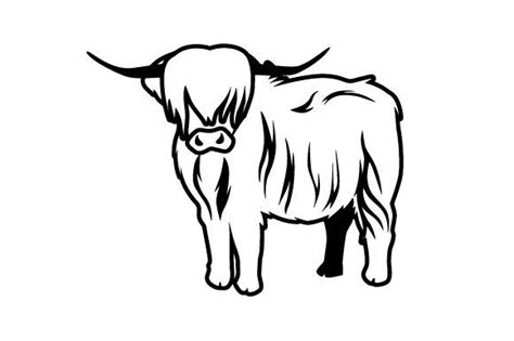 Highland cow, Scottish highland cow, Cow drawing