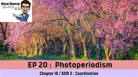 Chapter 10 EP 20 / Sem 2 : Photoperiodism (Matriculation Biology) - YouTube