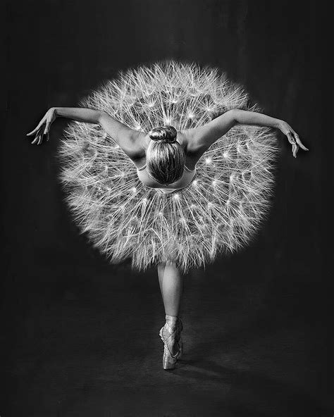 Ballerina Art, Ballet Art, Ballet Poses, Ballet Dancers, Artistic Photography, Art Photography ...