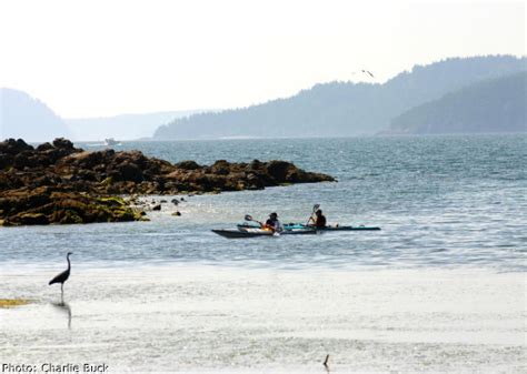 Everything you need to know about sea kayaking tours on Orcas Island. 2010.