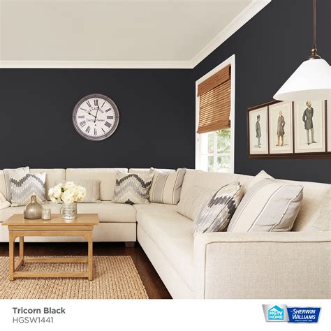 HGTV HOME By Sherwin-Williams Tricorn Black Hgsw1441 Paint Sample (Half-Pint) In The Paint ...