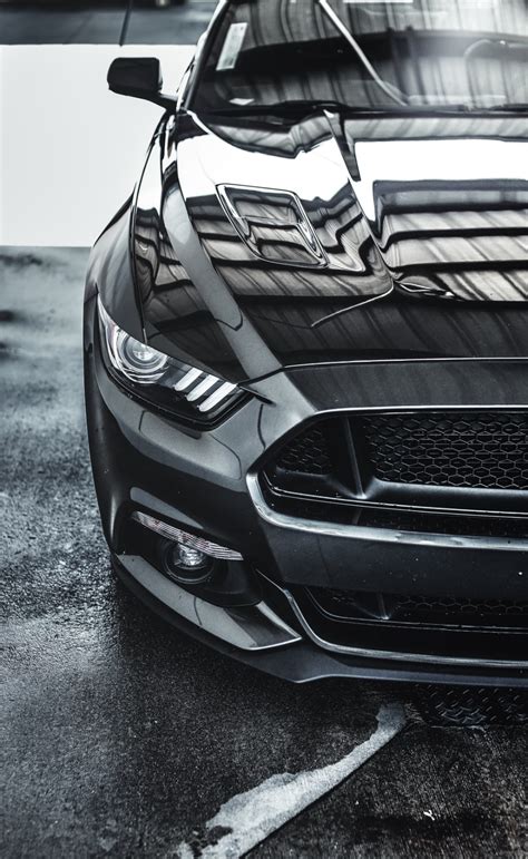 Black Mustang Wallpaper