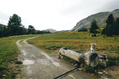 The Ultimate Hiking Guide to the Swiss National Park