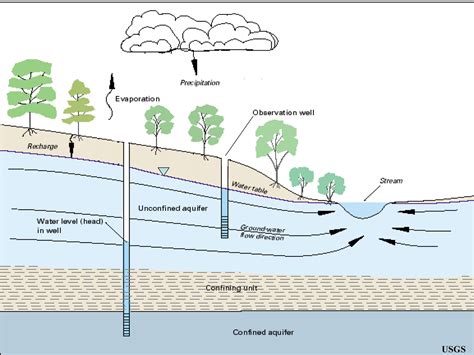 Water Table Aquifer Diagram