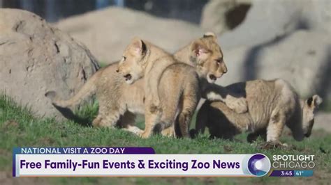 Free Family-Fun Events & Exciting Zoo News | WGN-TV