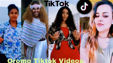 Sirba afaan oromoo haaraa 2023: Oromo music | Oromotiktok - YouTube