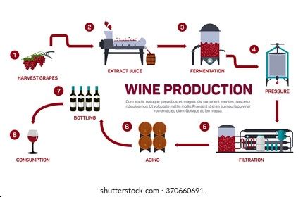 98,750 Wine Making Images, Stock Photos, 3D objects, & Vectors | Shutterstock