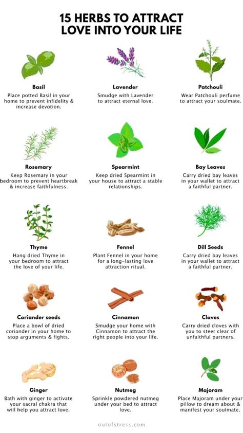 15 best herbs for love spells and magic recipes diy – Artofit