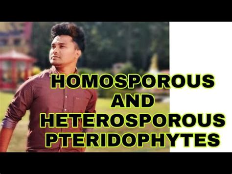 Tricks to learn examples of HOMOSPOROUS AND HETEROSPOROUS PTERIDOPHYTES ...