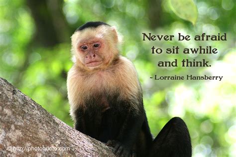 Monkey Quotes And Sayings. QuotesGram