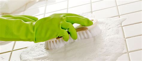 5 Green Cleaning Tips to Help You Keep Your House Clean During The Summer