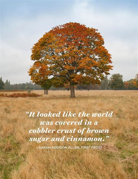 24 November Quotes That Will Make You Thankful for Fall | November quotes, Autumn quotes ...