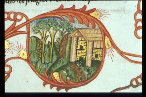 Virgil's Countryside - Medieval manuscripts blog