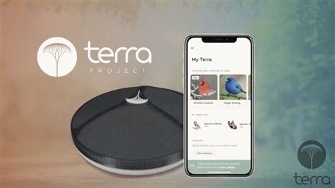 Terra - Bring nature's background sounds into your room – Critical Bears