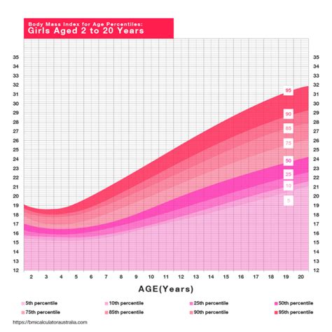 BMI Calculator Australia - Calculate Your Body Mass Index