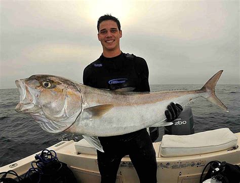 Amberjacks? A Complete Guide Of What You Need To Know Before The Season Opens ...