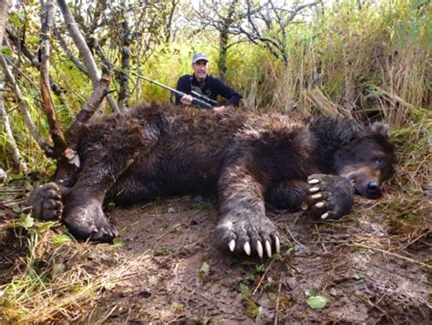 Alaska Brown Bear Hunting Alaska Boat Hunts, 52% OFF