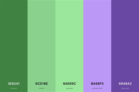 35+ Best Green Color Palettes with Names and Hex Codes – CreativeBooster