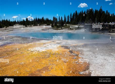 Yellowstone National Park Landscape Stock Photo - Alamy