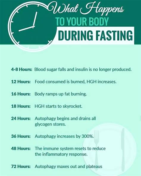 Intermittent Fasting: The Complete Guide You Need