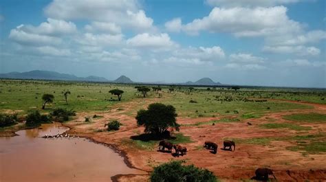 Tsavo West National Park, Kenya | Tsavo West Safari