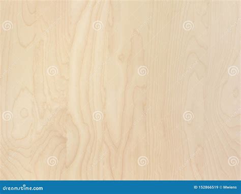 Birch Wood Texture Royalty-Free Stock Photography | CartoonDealer.com #22453505