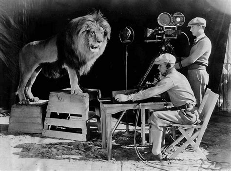 Animals in Film Leo the MGM Lion - InFocus Film School