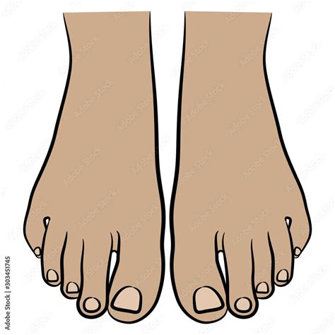 Two bare female feet. Top view. Cartoon style. Isolated vector ...