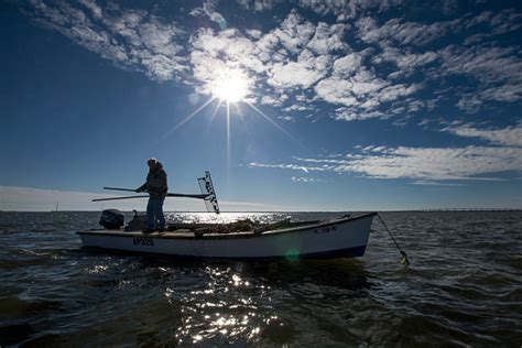 Apalachicola Bay Oysters Need Heavy Restoration To Recover