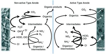 Removal rates and energy demand of the electrochemical oxidation of ammonia and organic ...