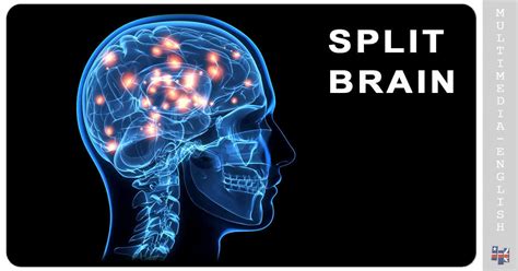 Split brain behavioral experiment –[Multimedia-English videos]