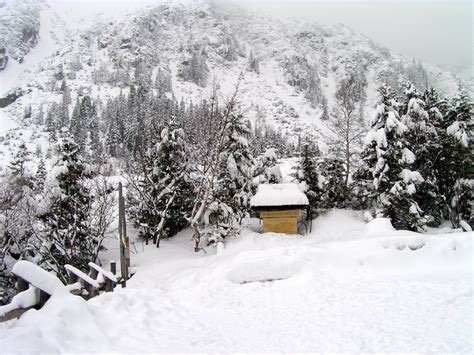 File:Morskie Oko Poland Winter.jpg - Wikipedia, the free encyclopedia