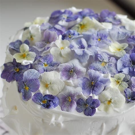 Marzipan: Sugared Edible Flowers for Cake Decorating