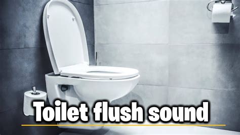 Toilet flush sound effect / toilet sounds - YouTube