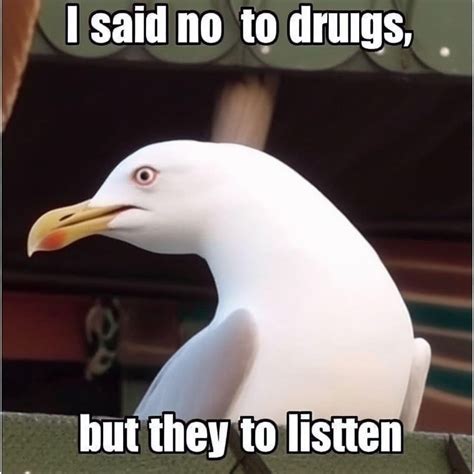 “Funny seagull meme” : r/weirddalle