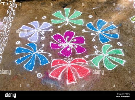 Kolam or rangoli during Pongal festival in Tamil Nadu ; India Stock Photo - Alamy