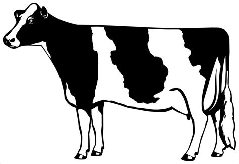 dairy cow clip art 20 free Cliparts | Download images on Clipground 2024