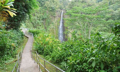 Akaka Falls State Park: The Complete Guide