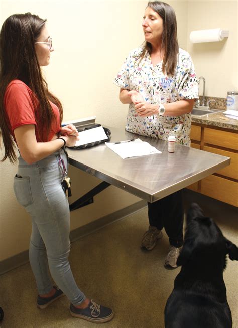 Spay and neuter clinic serves South County pets - The Pajaronian ...