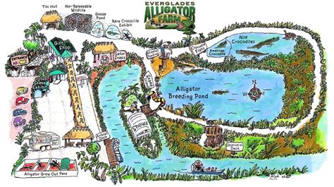 Everglades Alligator Farm - An Airboat Tour in South Florida (USA)