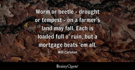 Beetle Quotes - BrainyQuote