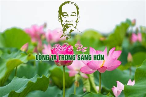 Ảnh Bác Hồ Hoa Sen: Khám phá tinh hoa văn hóa Việt Nam - Nhấp để tìm ...