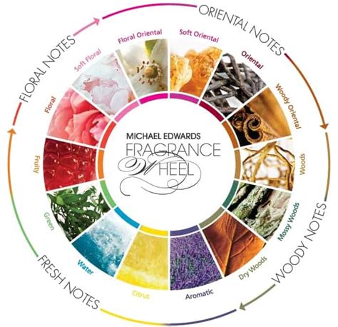 Fragrance Vocabulary: Dictionary to Perfumes | Everfumed Fragrance Shop